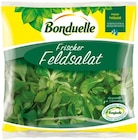 Aktuelle Rucola Angebote bei REWE in Bonn Aktuelles Feldsalat Angebot bei REWE in Bonn ab 1,59 €