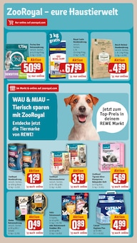 Katzenfutter im REWE Prospekt "Dein Markt" mit 30 Seiten (Dortmund)