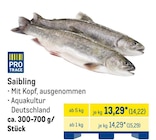 Saibling von PRO TRACE im aktuellen METRO Prospekt für 14,22 €