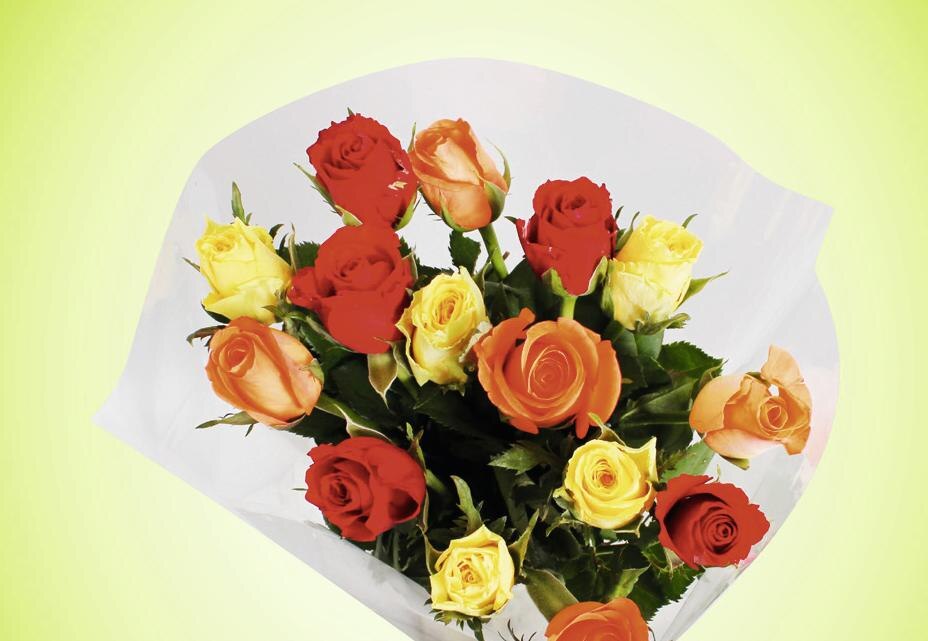 Bouquet de 10 roses Arlequin