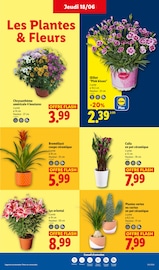 Promos Fournitures Scolaires dans le catalogue "L'ÉTÉ IMBATTABLE" de Lidl Fournitures Scolaires en promo dans le catalogue Lidl à la page 27