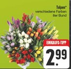 Tulpen Angebote bei EDEKA Bamberg für 2,99 €