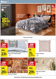 Prix et réduction Coussin dans le prospectus Carrefour en cours Offre Coussin dans le catalogue Carrefour du moment à la page 62