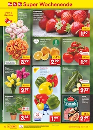 Netto Marken-Discount Tulpen im Prospekt 