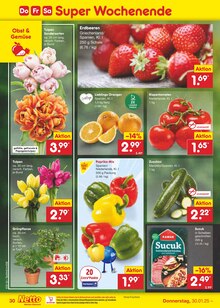 Tulpen Angebot im aktuellen Netto Marken-Discount Prospekt auf Seite 44