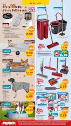 Hundepool Angebot im aktuellen Penny-Markt Prospekt auf Seite 24