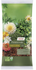 toom Baumarkt Wunstorf Prospekt mit  im Angebot für 9,99 €