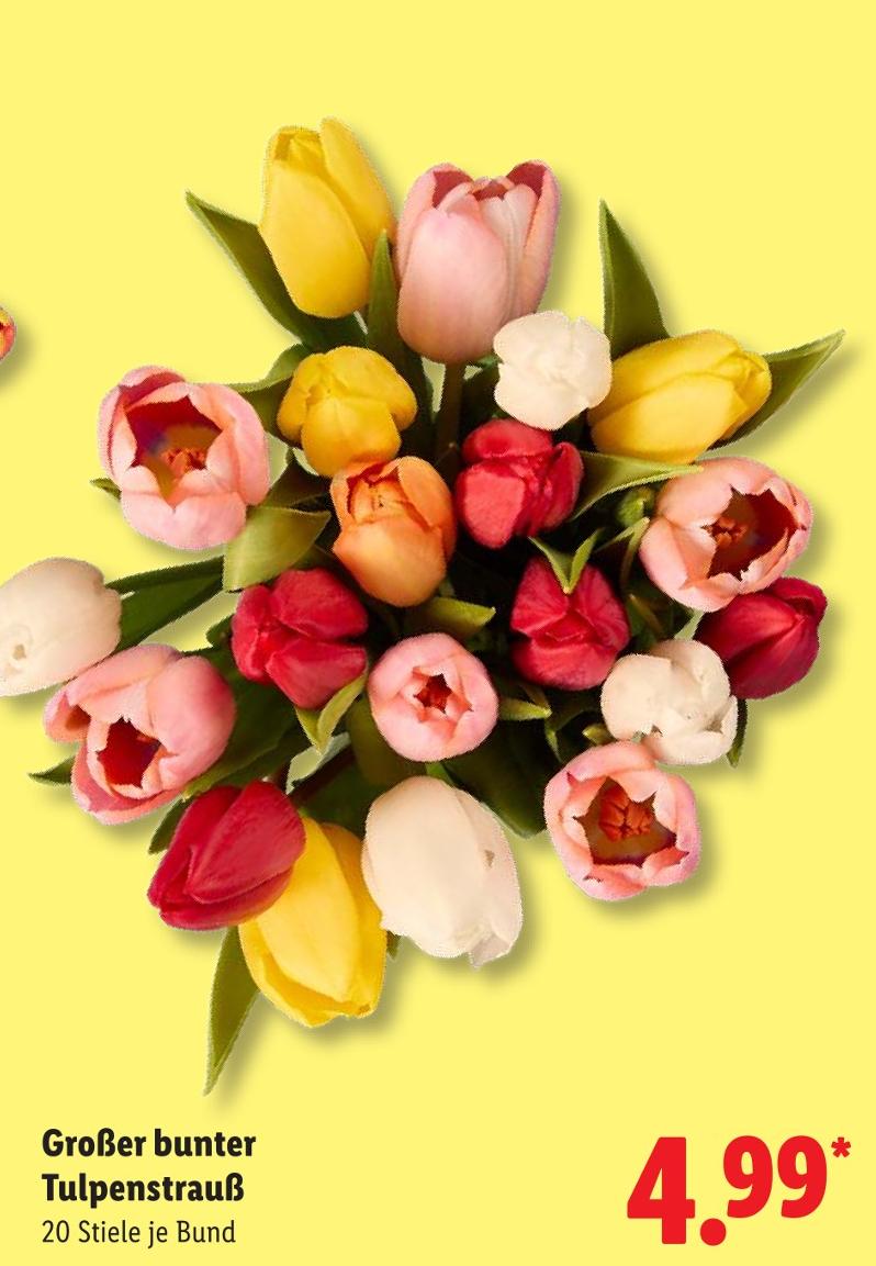 Großer bunter Tulpenstrauß