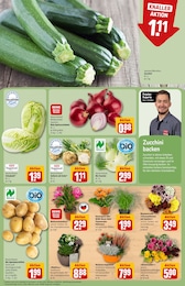 REWE Blumen im Prospekt 