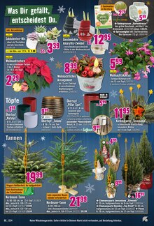 Weihnachtsbaum im Hornbach Prospekt "Über 400.000 Geschenkideen" mit 31 Seiten (Neuwied)