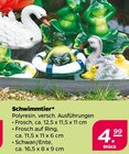 Schwimmtier Angebote bei Netto mit dem Scottie Pirna für 4,99 €