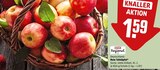 Rote Tafeläpfel bei REWE im Prospekt "" für 1,59 €