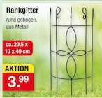 Rankgitter für 3,99 € bei Zimmermann im Angebot Rankgitter im aktuellen Zimmermann Prospekt