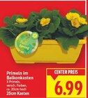 Primeln im Balkonkasten im E center Prospekt Primeln im Balkonkasten von im aktuellen E center Prospekt für 6,99 €