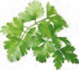 Schweinebauch im Stück Angebote bei EDEKA Stade für 4,99 €