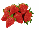 Erdbeeren Angebote bei Netto Marken-Discount Baden-Baden für 1,49 €
