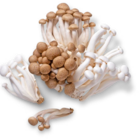 Aktuelles Chin. Shimeji braun Angebot bei Kaufland in Bochum ab 1,49 €