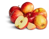 Aktuelles Deutsche rote Äpfel Angebot bei Penny in Kassel ab 1,49 €