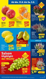 Äpfel im Lidl Prospekt in Bünde Aktueller Lidl Prospekt mit Äpfel, "LIDL LOHNT SICH", Seite 3