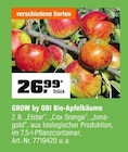 Bio-Apfelbäume von GROW by OBI im aktuellen OBI Prospekt