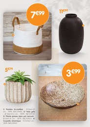 Offre Coupelle dans le catalogue B&M du moment à la page 31