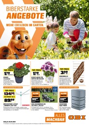 Gartenpflanzen Angebot im aktuellen OBI Prospekt auf Seite 1