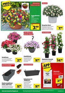 Hagebaumarkt Ronnenberg Prospekt der aktuellen Woche, gültig von 11.04.2026 bis 18.04.2026 Aktueller Hagebaumarkt Ronnenberg Prospekt "So günstig geht das!" mit 16 Seiten