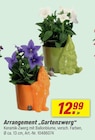 Arrangement Gartenzwerg Angebote bei toom Baumarkt Oberhausen für 12,99 €