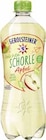 Leichte Schorle Apfel-Kirsche Angebote von Gerolsteiner bei E center Ettlingen für 0,99 €