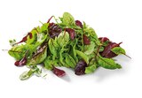 Salat-Mix bei Lidl im Prospekt "" für 0,99 €