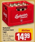 Premium Czech Lager Angebote von Budweiser bei REWE Bad Arolsen für 14,99 €
