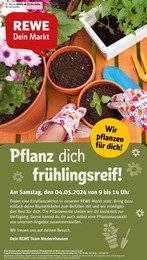Aktueller REWE Supermärkte Prospekt für Niedernhausen: Dein Markt mit 29} Seiten, 22.04.2024 - 27.04.2024