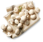 Poln./kroat. Kultur-champignons, weiß Angebot in Tuntenhausen Poln./kroat. Kultur-champignons, weiß im aktuellen Prospekt bei Kaufland in Tuntenhausen