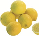 Zitronen im Angebot bei Denns BioMarkt in Rostock Zitronen Angebote bei Denns BioMarkt Rostock für 1,29 €