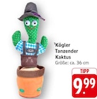 Tanzender Kaktus bei E center im Bad Kreuznach Prospekt für 9,99 €