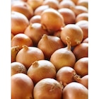 Oignon jaune 1 kg +20% gratuit JARDINS DU MIDI dans le catalogue Carrefour