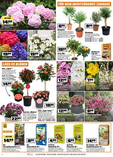 Blumenerde im OBI Prospekt "Biberstarke ANGEBOTE" mit 16 Seiten (Nürnberg)