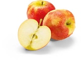 Äpfel rot im Angebot bei Netto Marken-Discount in Viersen Äpfel rot Angebote bei Netto Marken-Discount Viersen für 2,29 €