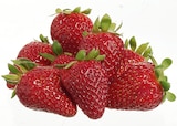 Aktuelle Erdbeeren Angebote bei Metro in Saarbrücken Aktuelles Erdbeeren Angebot bei Metro in Saarbrücken ab 3,36 €