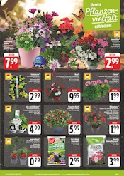 Aktueller E center Prospekt mit Gartenerde, "Wir lieben Lebensmittel!", Seite 7