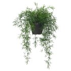 Topfpflanze, künstlich drinnen/draußen Zierspargel/hängend Angebote von FEJKA bei IKEA Bielefeld für 9,99 €