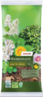 Rindenmulch Angebote von toom bei toom Baumarkt Kassel für 6,99 €