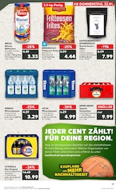 Aktueller Kaufland Prospekt mit Silber, "KNÜLLER", Seite 21