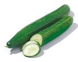 Netto mit dem Scottie Neukirchen (Pleiße) Prospekt mit  im Angebot für 1,29 €