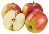 Rote Bio Tafeläpfel im Angebot bei REWE in Erkelenz Rote Bio Tafeläpfel Angebote von REWE Bio bei REWE Erkelenz für 1,99 €