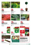 Plantes Plantes
