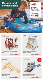 Ähnliche Hüpfpferd Angebote im Prospekt "Gemeinsam Wünsche erfüllen ..." von BabyOne Ähnliches Angebot bei BabyOne in Prospekt "Gemeinsam Wünsche erfüllen ..." gefunden auf Seite 4