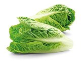 Aktuelle Gemüse Angebote bei REWE in Stuttgart Aktuelles Bio Romana Salatherzen Angebot bei REWE in Stuttgart ab 1,79 €