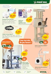 Offre Arbre À Chat dans le catalogue Maxi Zoo du moment à la page 3