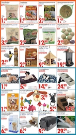 Angelzubehör im Wreesmann Prospekt in Bautzen Aktueller Wreesmann Prospekt mit Angelzubehör, "DEIN SAISON- & SONDERPOSTENMARKT!", Seite 4